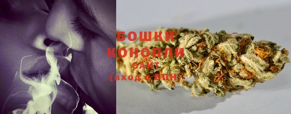 бошки Арсеньев