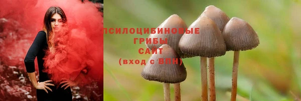 бошки Арсеньев