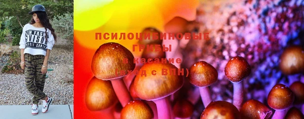 МДПВ Армянск
